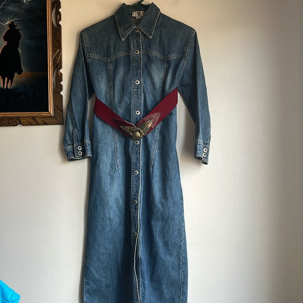 Vintage Ama Zing Denim Dress